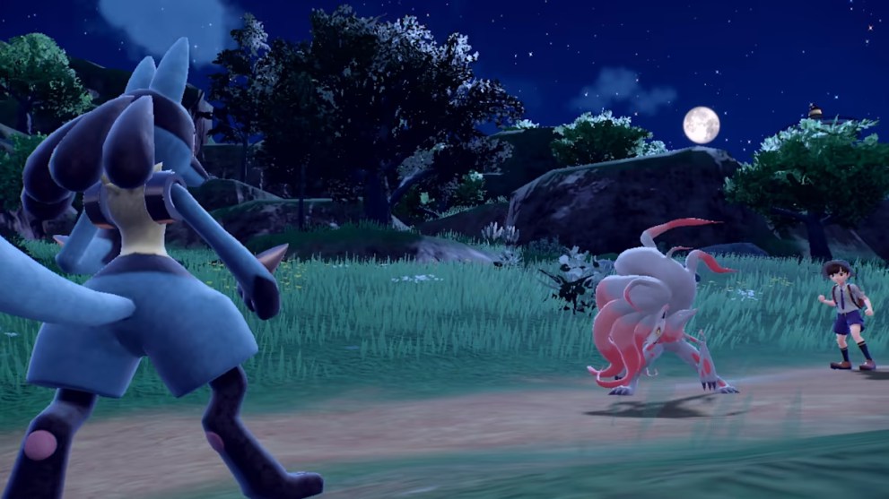 pokemon scarlet violet battle with lucario and zoroark