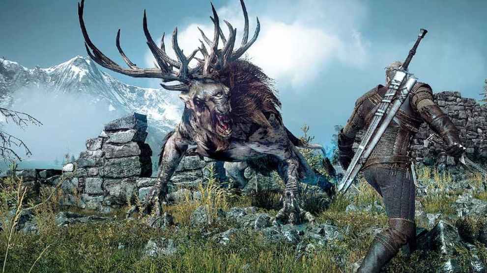 best answers to The Witcher 3 interrogation questions