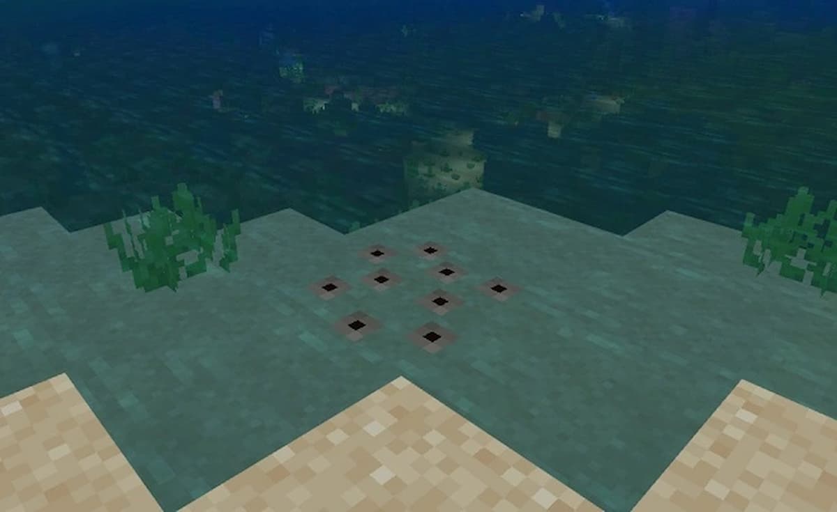 Minecraft frogspawn