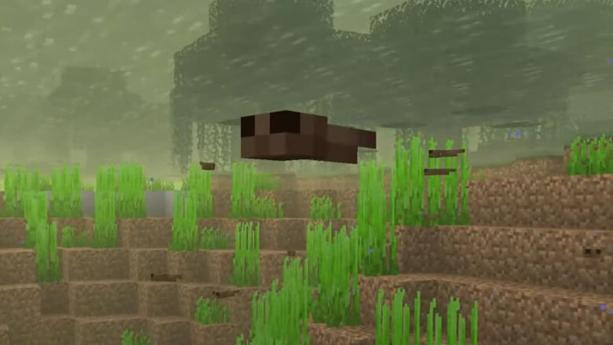 Minecraft tadpoles