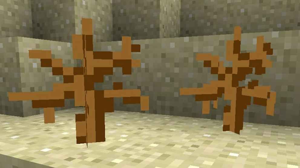 Minecraft, Dead Bushes