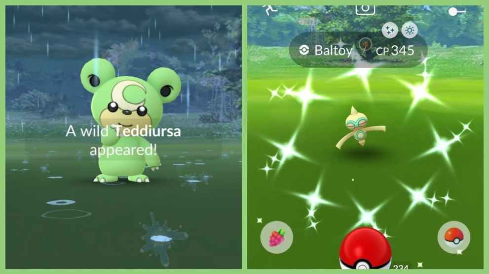 Can Teddiursa Be Shiny in Pokemon GO?