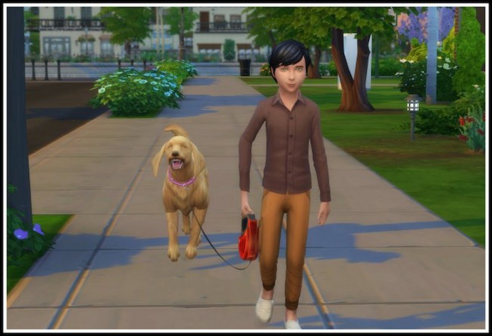 Sims kids walk dogs mod