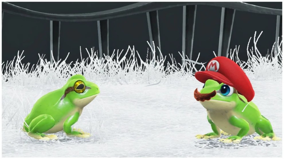 super mario odyssey frog