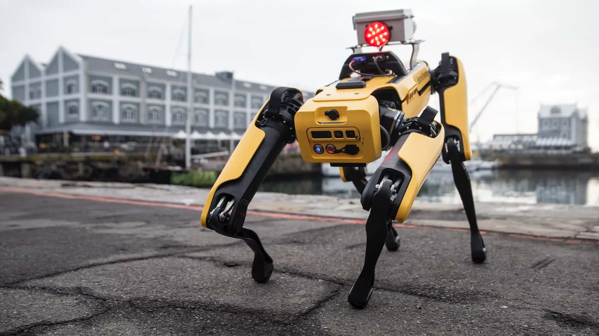 boston dynamics robot