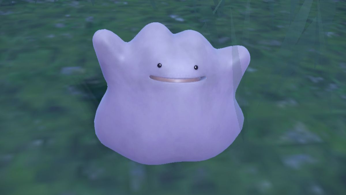 Ditto in Pokemon Scarlet & Violet