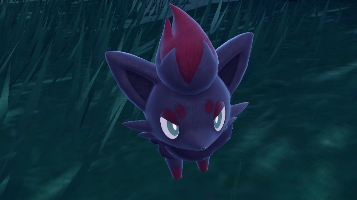 Zorua in Pokemon Scarlet & Violet