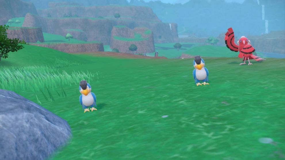 Blue Squawkabilly in Pokemon Scarlet & Violet