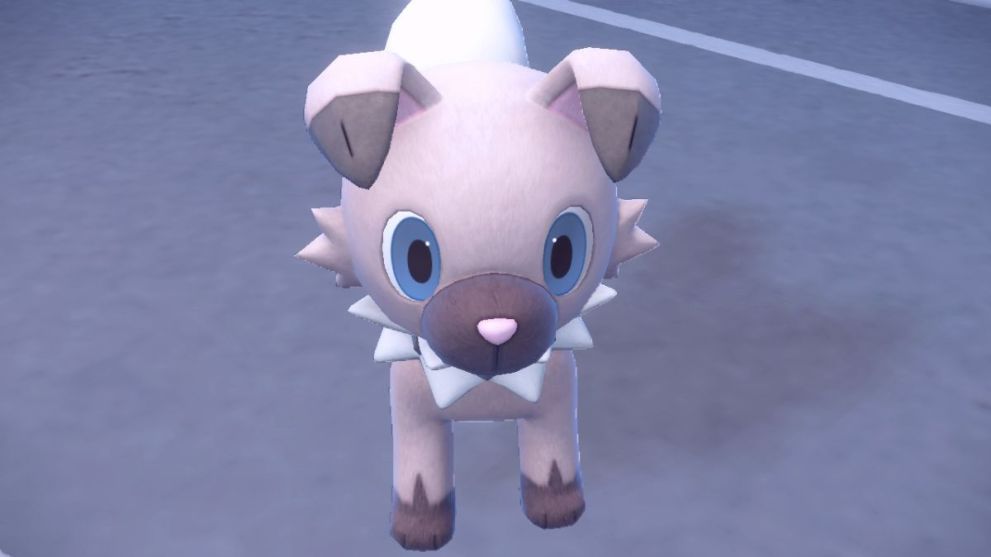 Rockruff in Pokemon Scarlet & Violet