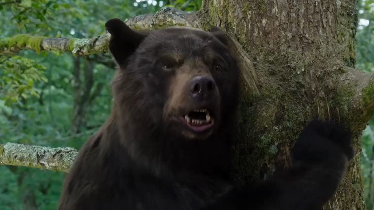 Universal to Release a Movie About a Bear on Cocaine That Was Inspired by True Events