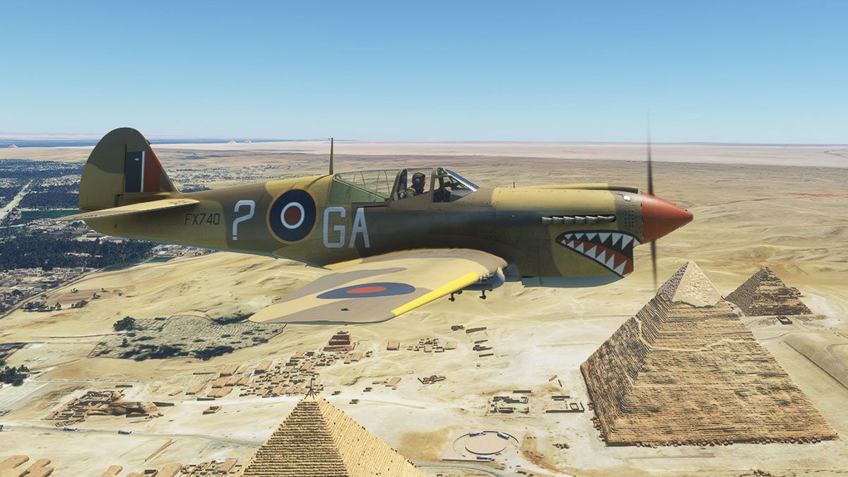 Microsoft Flight Simulator P40