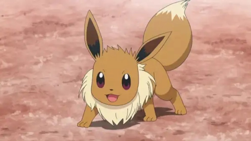 Pokemon Anime Eevee