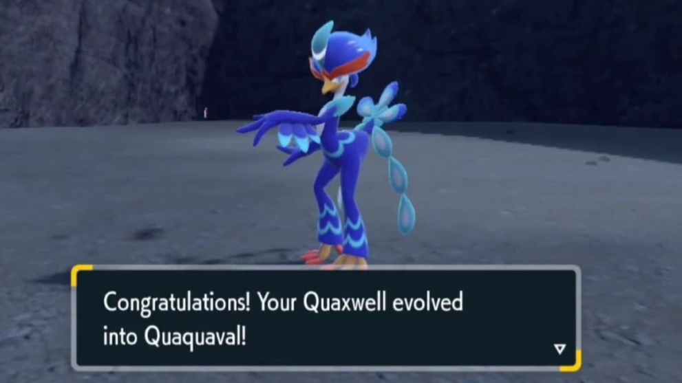 A newly evolved Quaquaval Pokemon Scarlet and Violet 