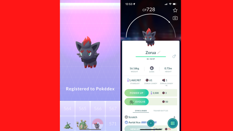 Zorua registers to my Pokedex