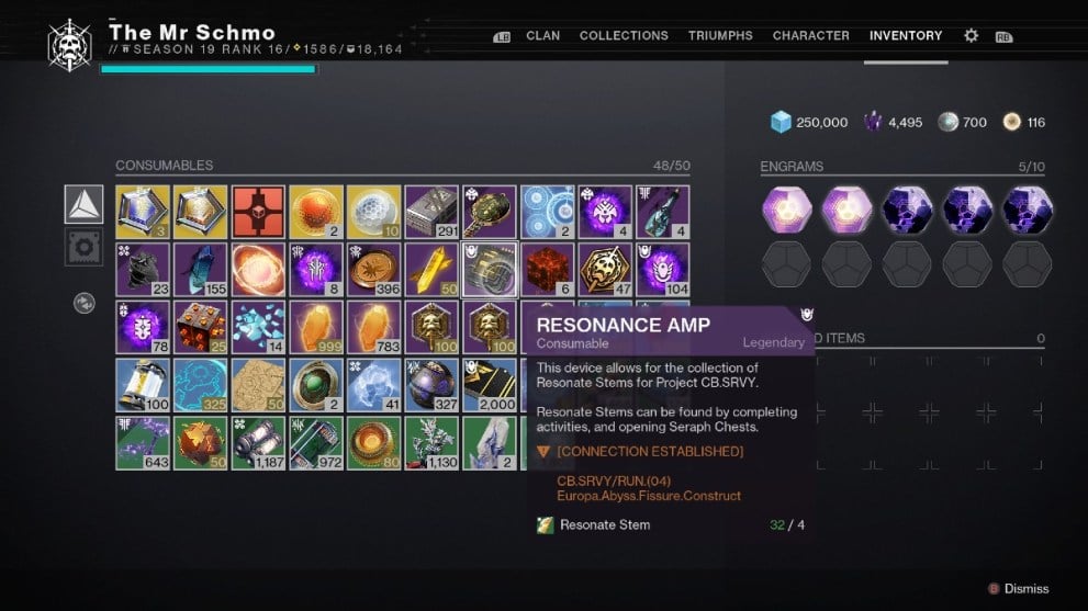 Destiny 2 Inventory Screen