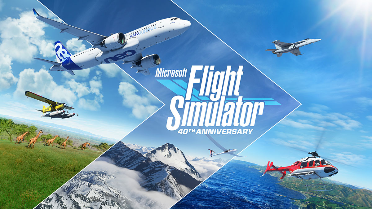 Microsoft Flight Simulator Interview