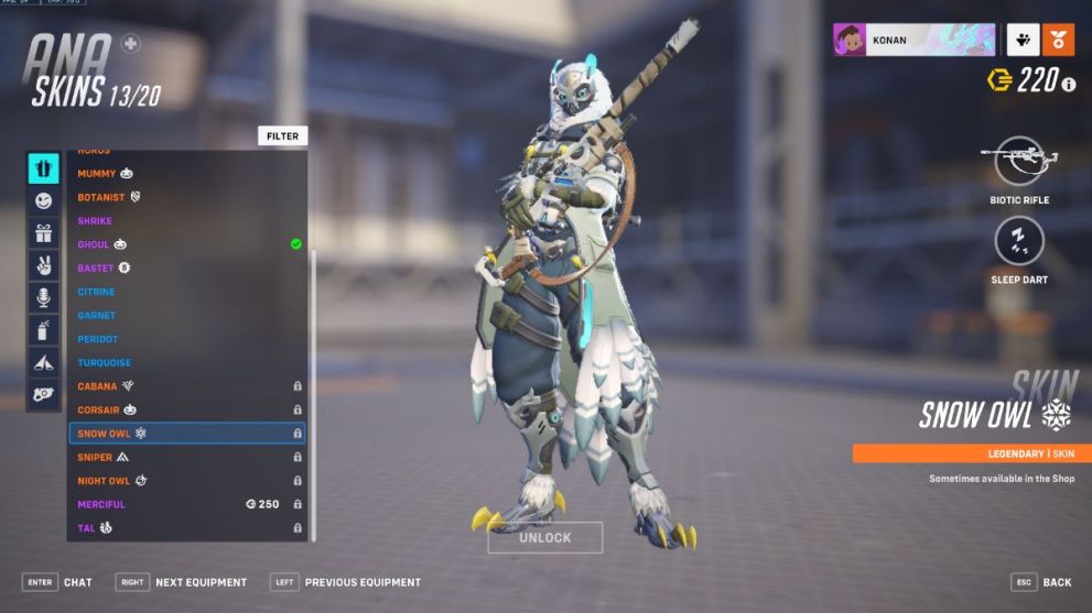 Ana's Snow Owl skin in Overwatch 2