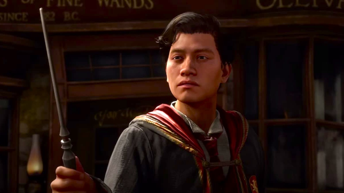 Playable Character in Hogwarts Legacy