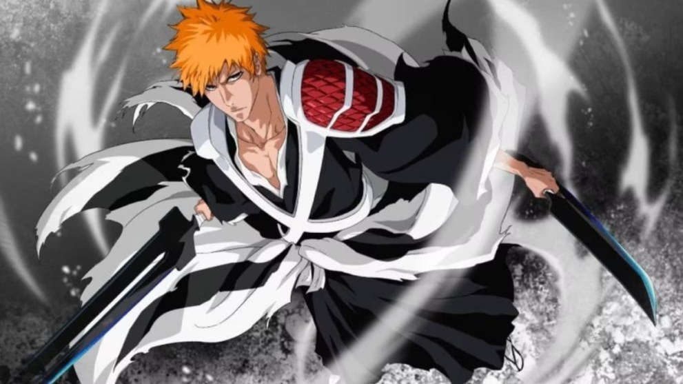 Bleach distributed by Viz Media