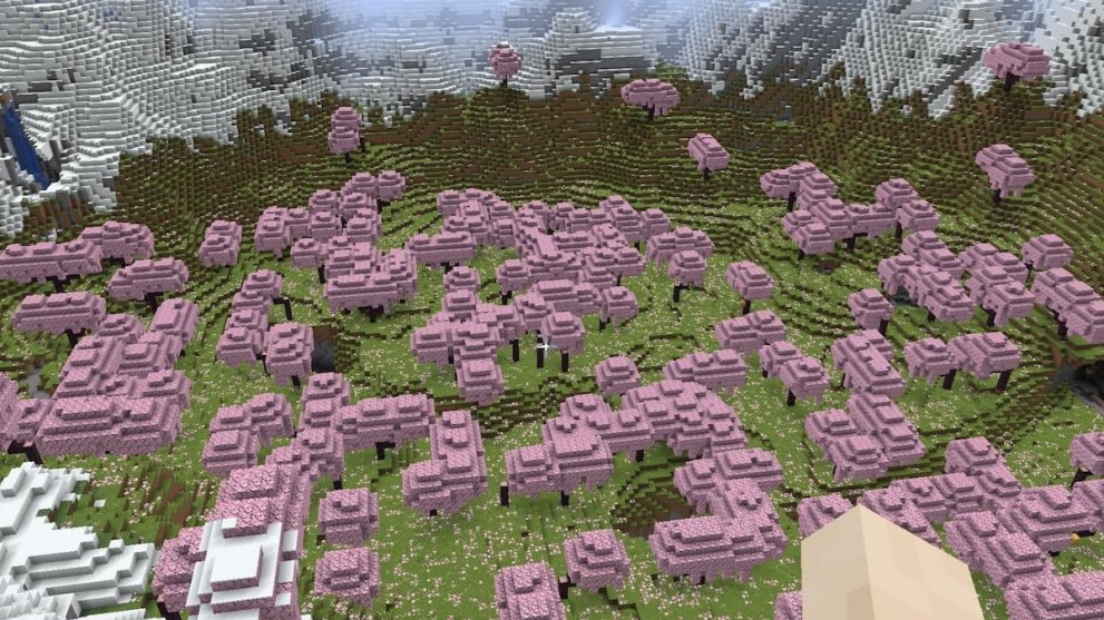 Cherry Blossom Biome Minecraft Seed