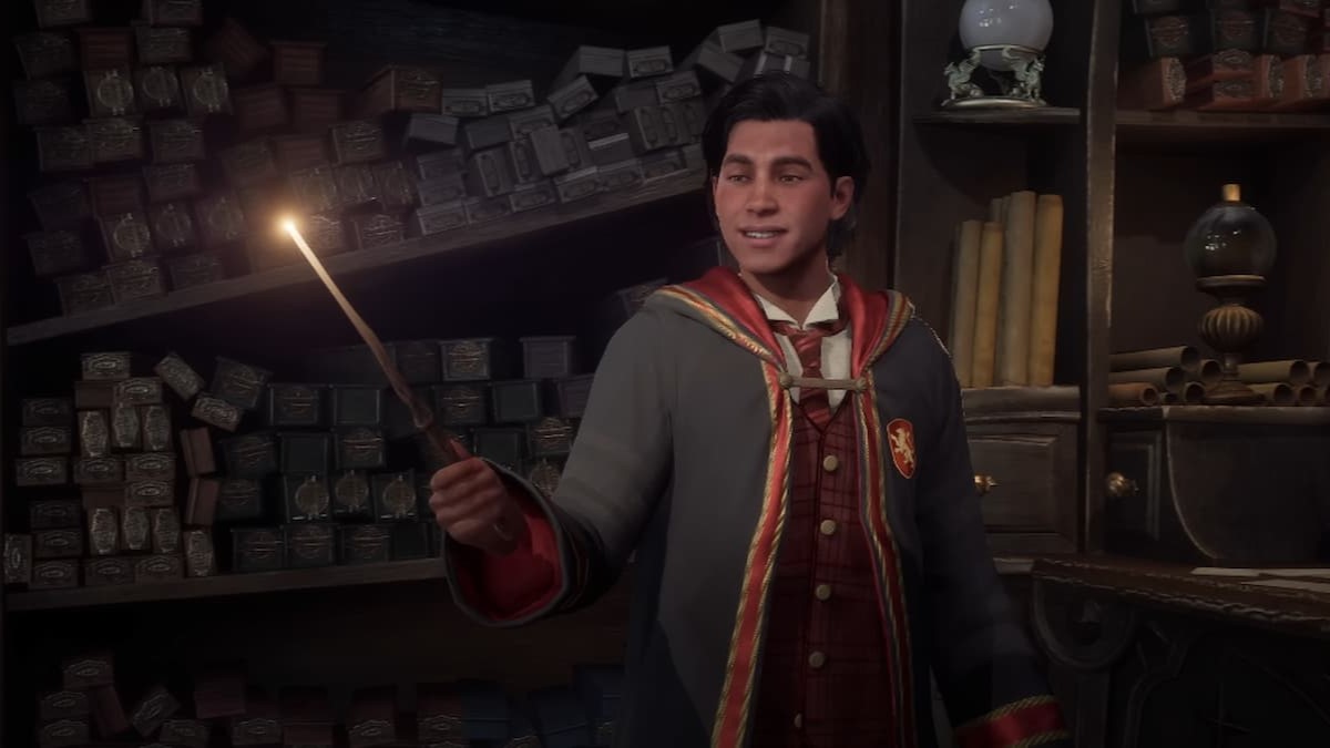 Hogwarts Legacy Character