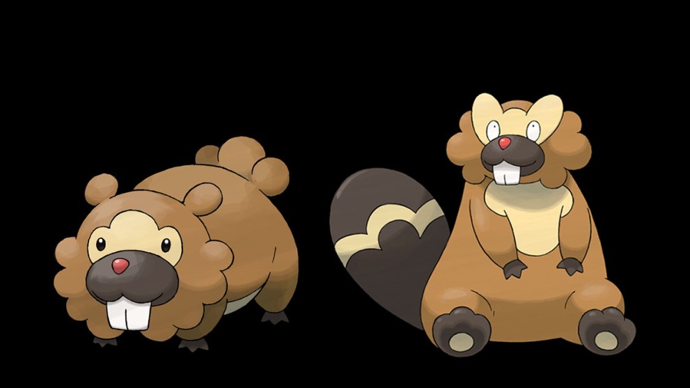 Bidoof evolution line