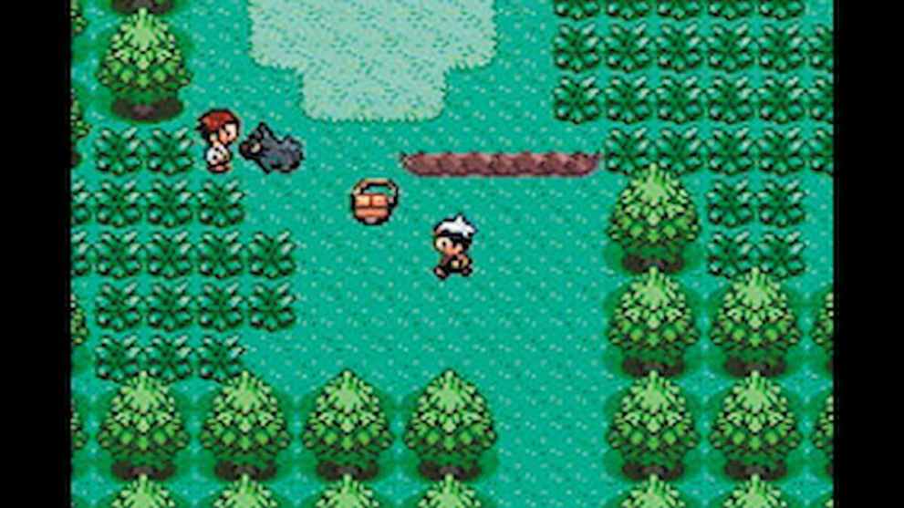 One of the best things about Pokemon Ruby and Sapphire is saving Professor Birch and the story.