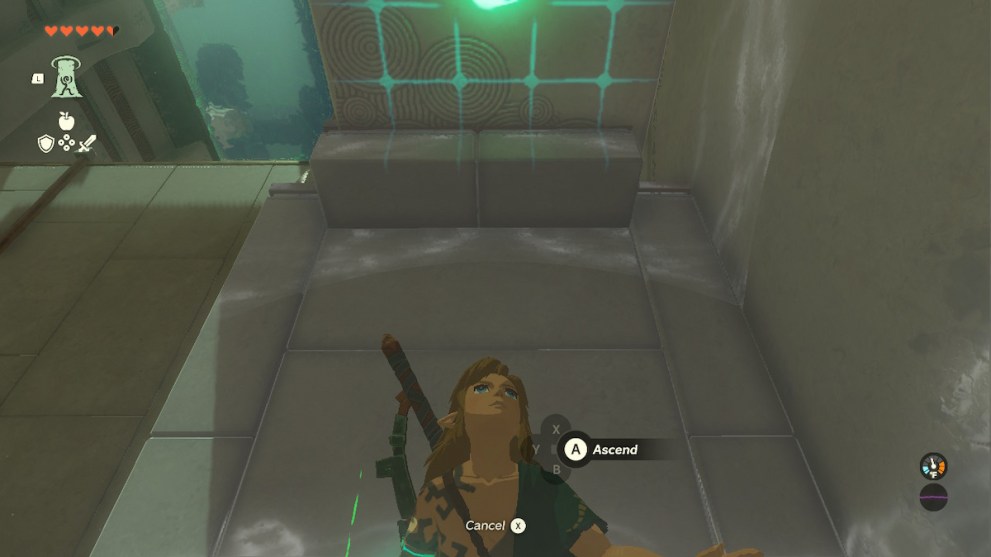 Link using ascend zelda tears of the kingdom