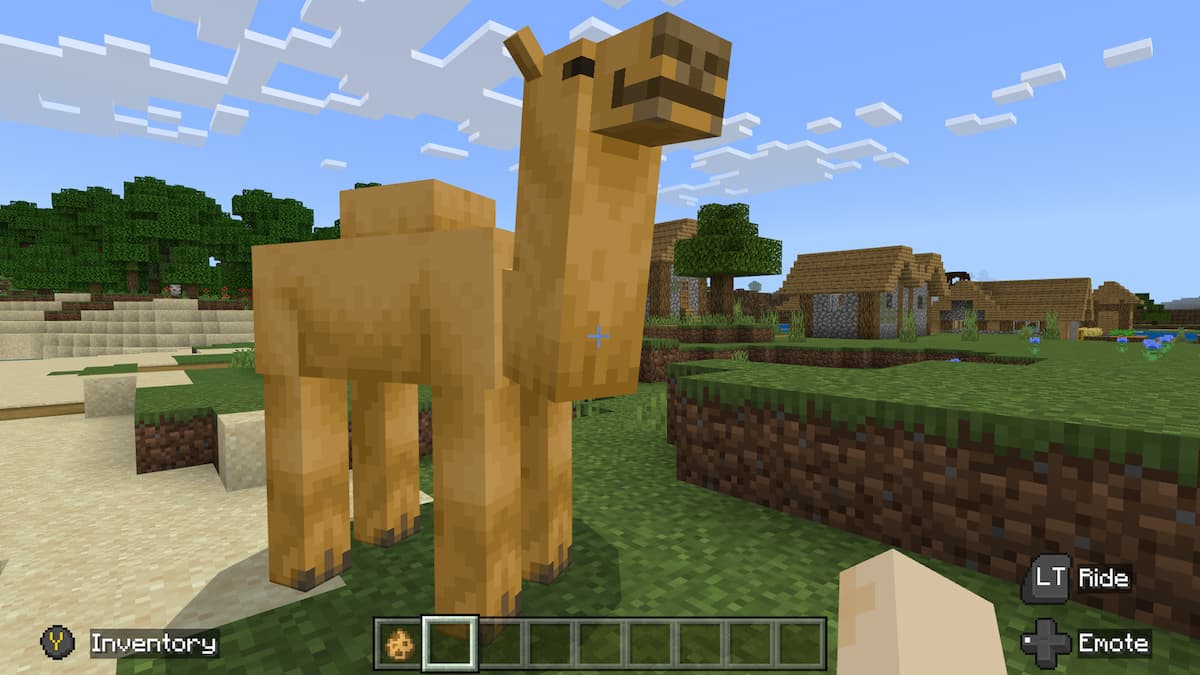 How to Find Camels in Minecraft