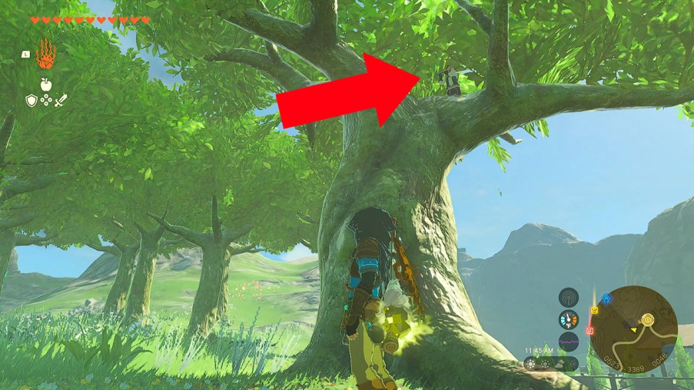 Pyper Location in Zelda TOTK.