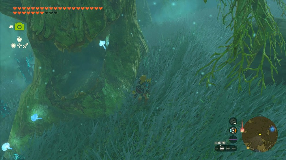 Silent Shroom Path in Zelda TOTK.